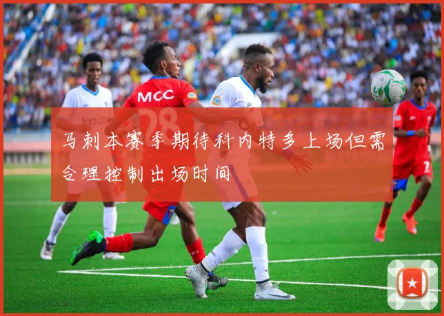 马刺本赛季期待科内特多上场但需合理控制出场时间
