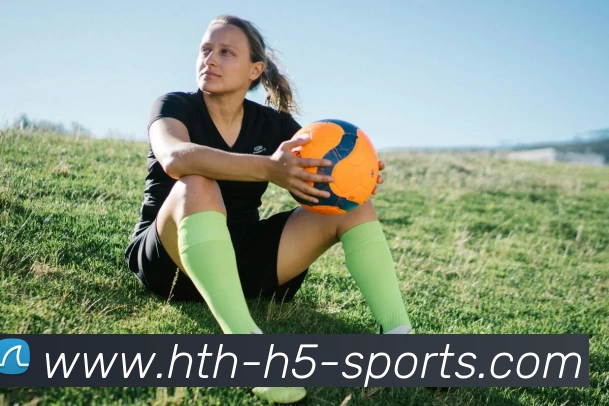 华体会体育平台生态图